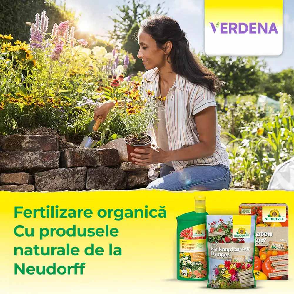 Ingrasamant organic Neudorff Azet pentru conifere si plante vesnic verzi 2.5 kg – efect imediat si prelungit pana la 100 zile