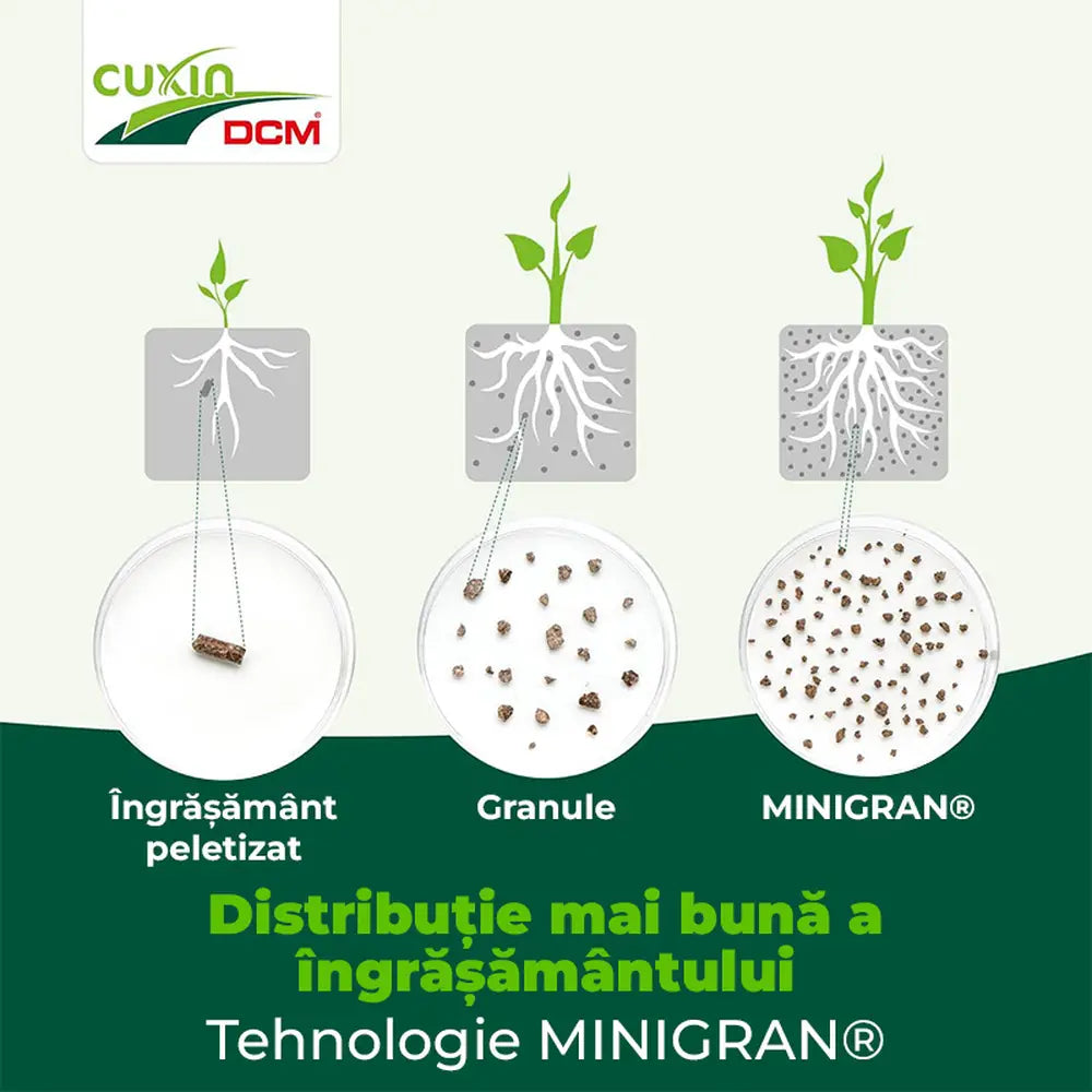 Ingrasamant conifere si gard viu Cuxin DCM, formula speciala cu magneziu, efect de lunga durata, tehnologie MINIGRAN, 1.5 kg