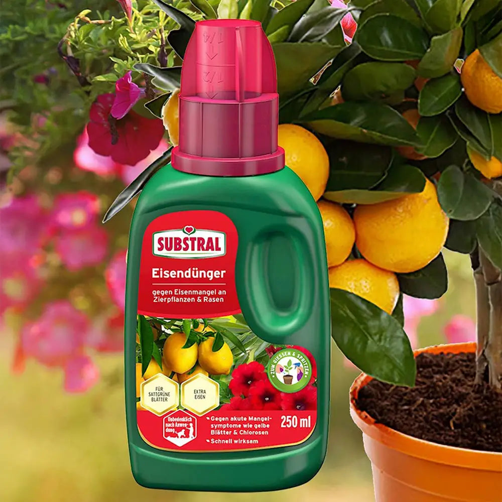 Fertilizant lichid Substral 250 ml, cu fier impotriva clorozei si frunzelor galbene pentru plante ornamentale si gazon