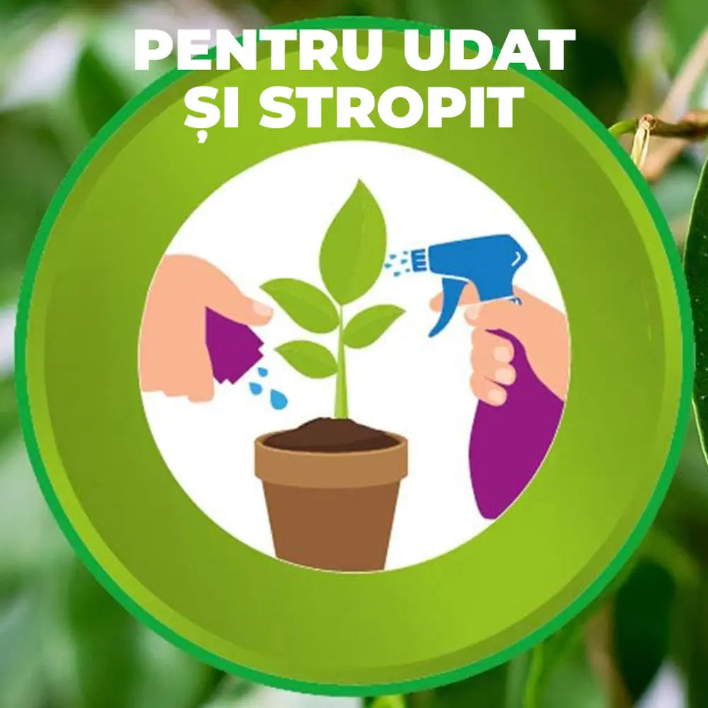 Fertilizant lichid Substral 250 ml, cu fier impotriva clorozei si frunzelor galbene pentru plante ornamentale si gazon