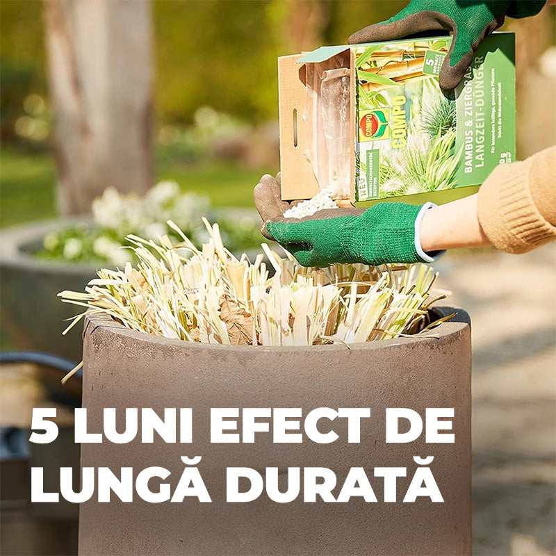 Ingrasamant pentru Bambus si Ierburi Ornamentale, 850 g, 22 m², Formula Ecologica, Efect de Lunga Durata 5 Luni, COMPO