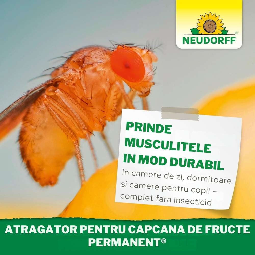 Atrament capcana muste de fructe NEUDORFF, 2 rezerve x 30 ml, atractant alimentar fara insecticide