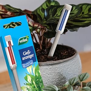 Indicator udare plante WESTLAND pentru toate plantele in ghiveci, control umiditate sol, 16 cm
