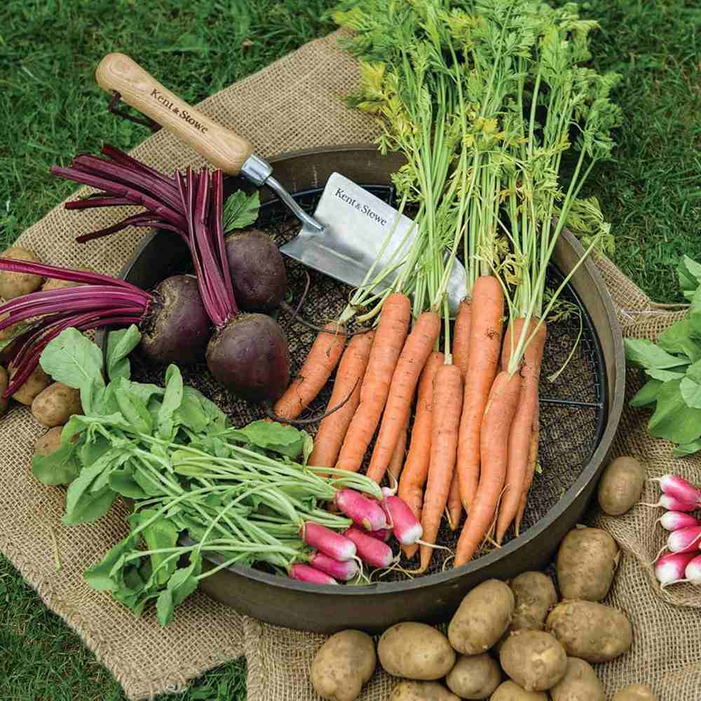 Lopatica gradina KENT & STOWE din inox pentru plantare si repicare, maner lemn frasin, 33.5 cm garantie 15 ani