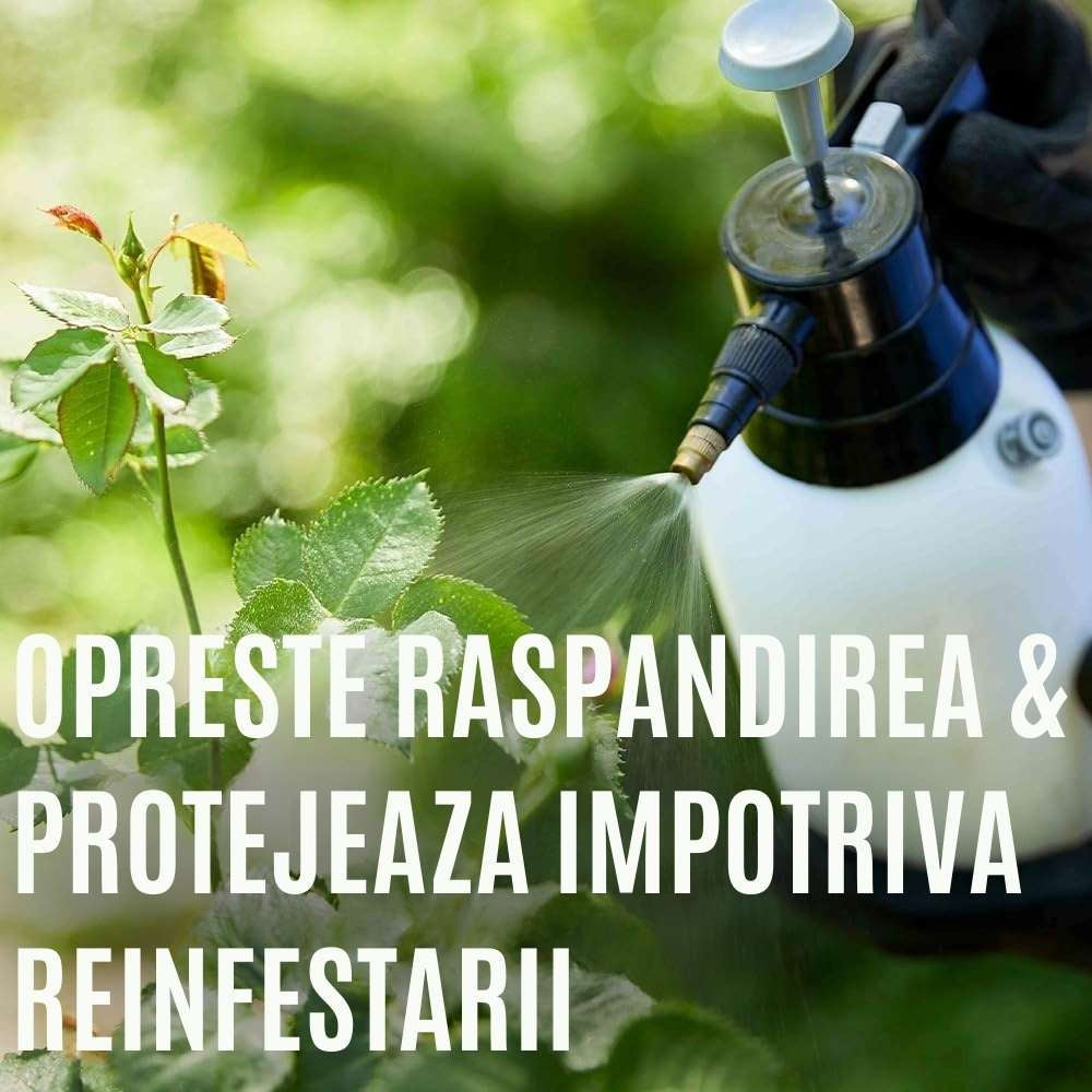 Spray insecticid COMPO Triathlon Insect Free AF pentru legume, capsuni si plante ornamentale, 750 ml