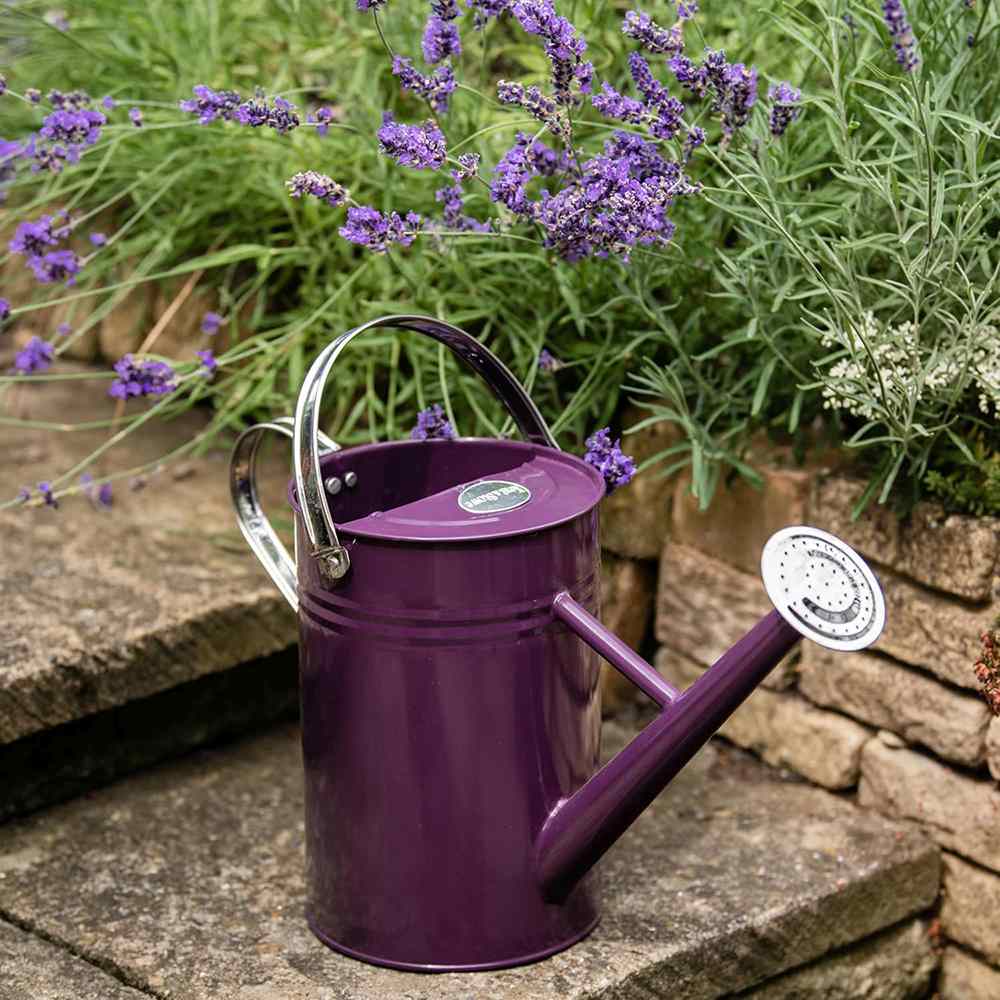 Stropitoare metalica KENT & STOWE vintage, otel galvanizat, 4.5 l, mov