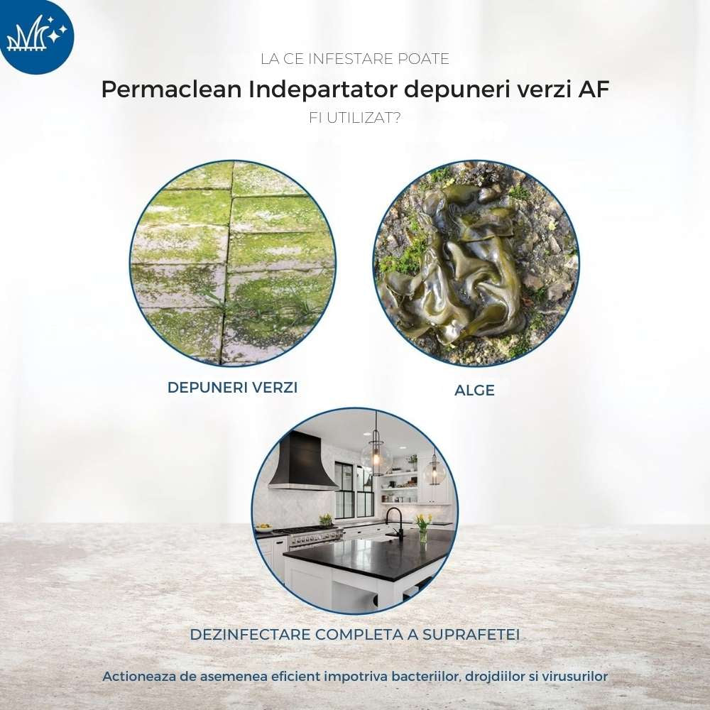 Solutie curatare PROTECT HOME Permaclean Green Growth Remover, indepartare alge si depuneri verzi, 1 l, pentru 180 mp