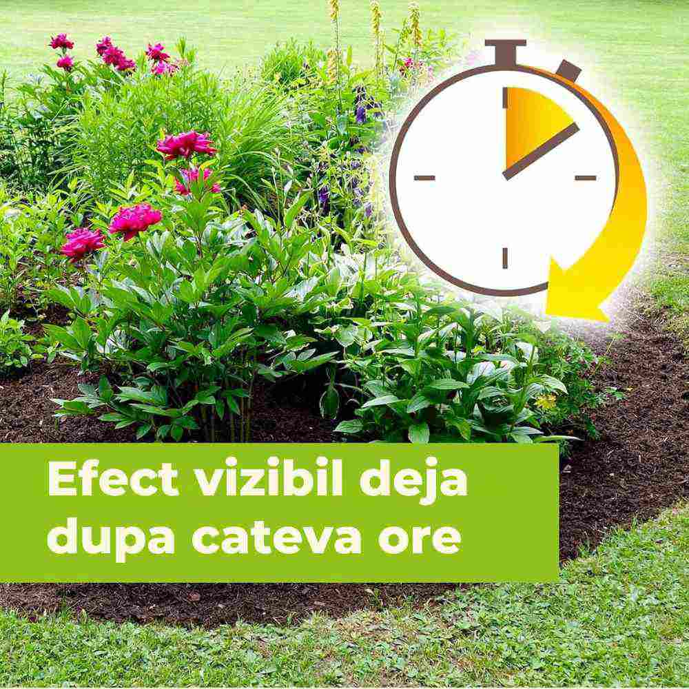 Glifozátmentes totális gyomirtó spray – PROTECT GARDEN Permaclean Express, 1 l