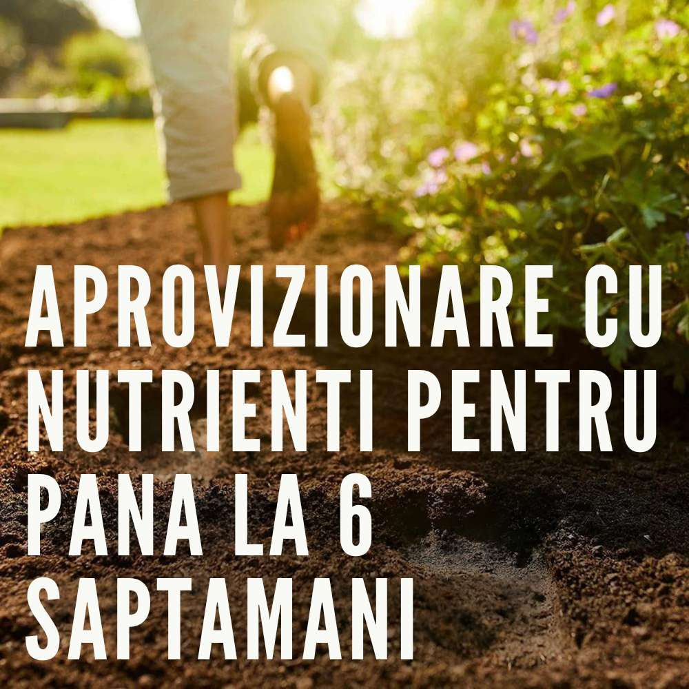 Pamant organic COMPO pentru semanat si plante aromatice, fara turba, substrat pentru rasaduri si butasi, 20 l