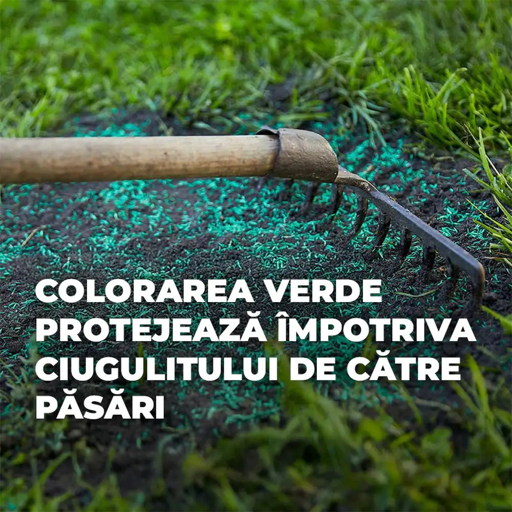 Compo seminte gazon rezistent trafic intens 1 kg pentru 50 mp – amestec profesional pentru gazon de sport si joaca