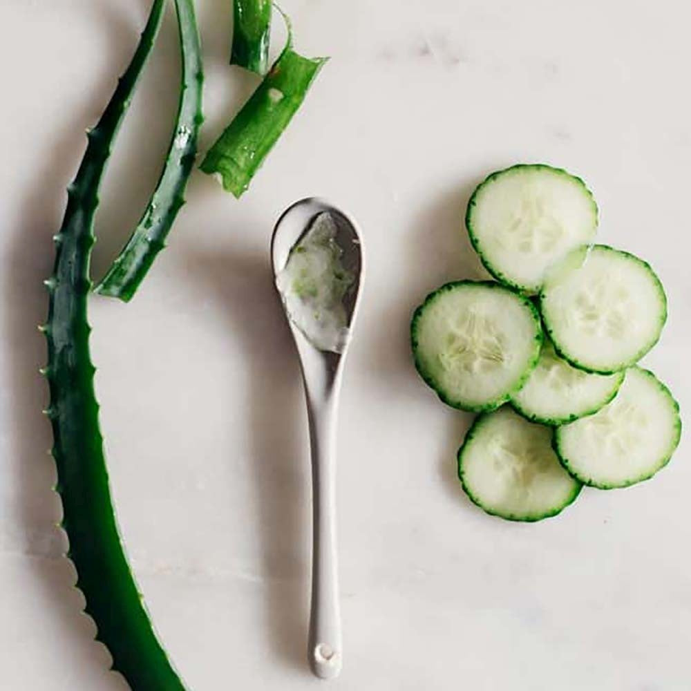Aloe Vera Planta in Ghiveci, 15-25 cm, Gel Natural pentru Piele, Ingrijire si Vindecare