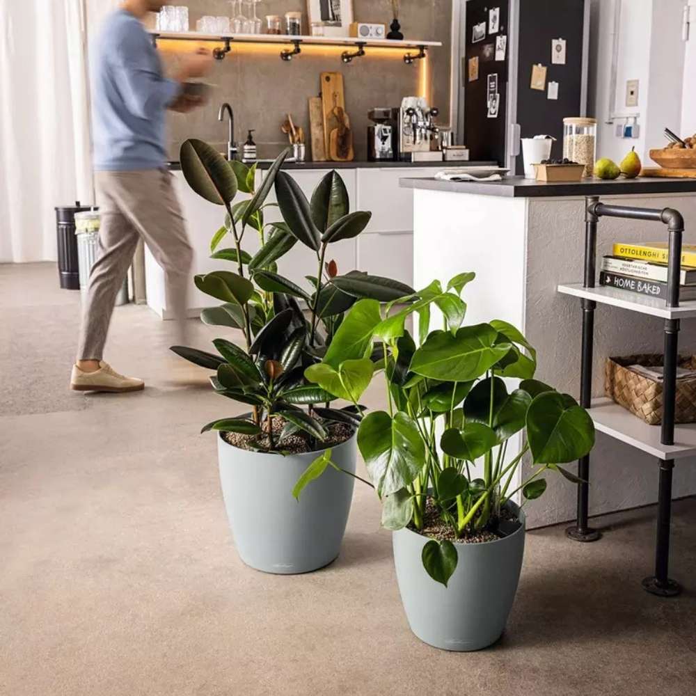 Lechuza CLASSICO Color 35 önöntöző cserép – 17 l, matt fekete
