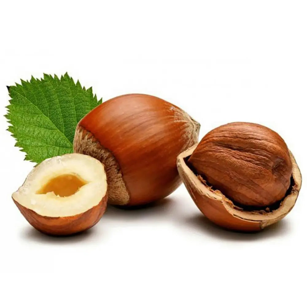 Alun Giffoni (Corylus avellana), cu gust dulce-nucos, an 2 pe rod