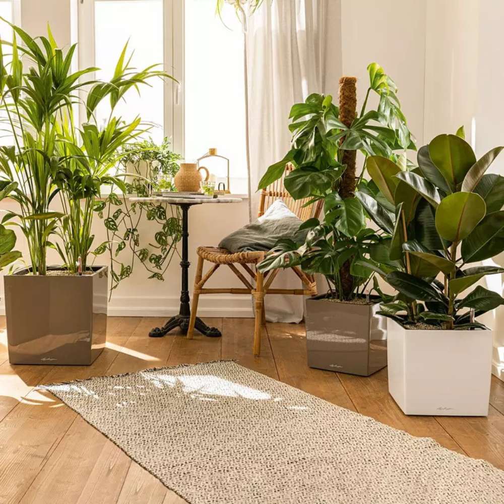 Lechuza Cube Premium 30 önöntöző kaspó – 12 l, fényes bézs, levehető belső betéttel