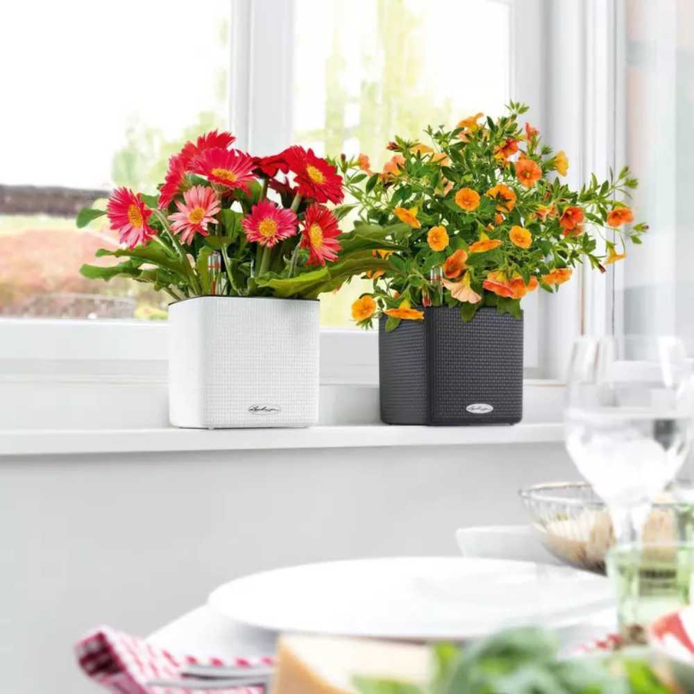 Lechuza CUBE Color 16 öntözős kaspó – elegáns rattanhatású fekete dizájn