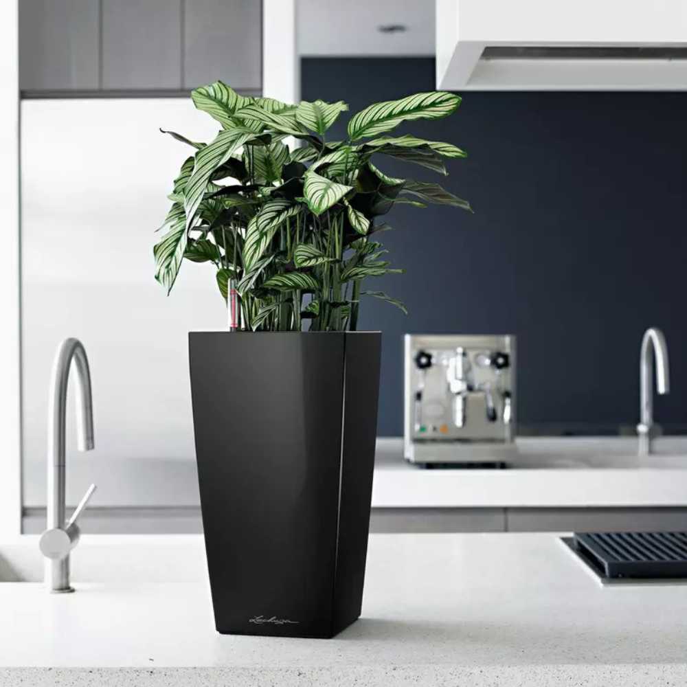 Lechuza CUBICO Premium 22 öntözős kaspó – 6 l, fényes fekete, önöntöző rendszerrel