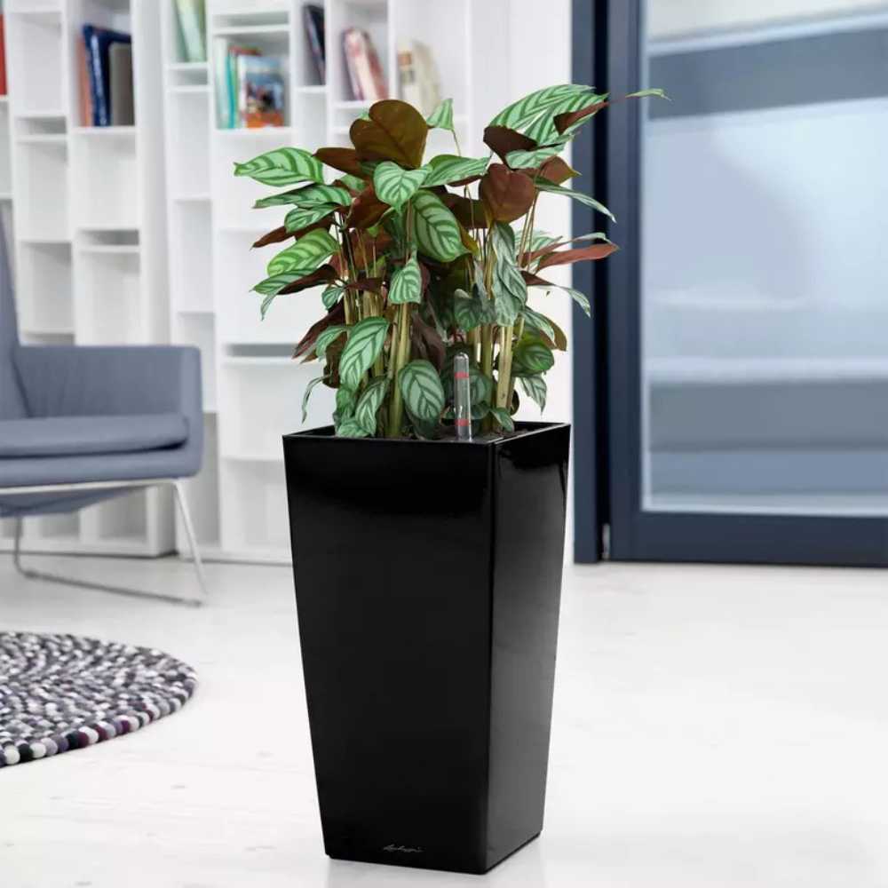 Lechuza CUBICO Premium 30 önöntöző kaspó – 14 l, fényes fekete
