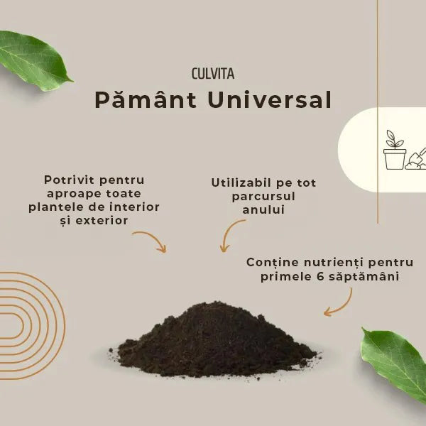 Culvita Pamant universal pentru Plante de Verzi Interior si Exterior 40 l, taxa ambalare inclusa