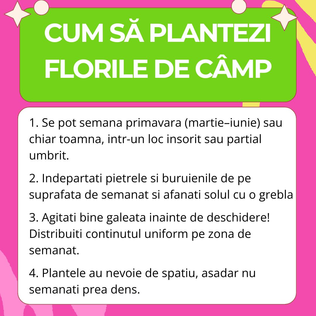 Seminte de Flori de Camp Mix pentru pentru Fluturi, Ingrasamant si Seminte 2-in-1, cu ingrasamant organic inclus, biodiversitate gradina, 260 g pentru 5m², CUXIN DCM