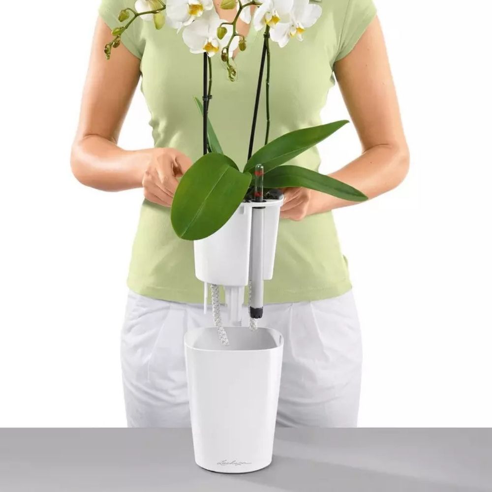Ghiveci Auto-Irigant Lechuza Deltini 1,2 l, visiniu lucios, sistem de autoirigare, insert detasabil, strat de drenaj