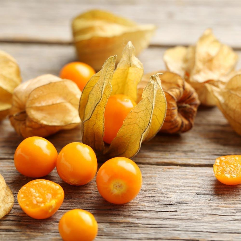 Physalis peruviana – egzotikus gyümölcstermő növény édes-savanykás narancssárga bogyókkal