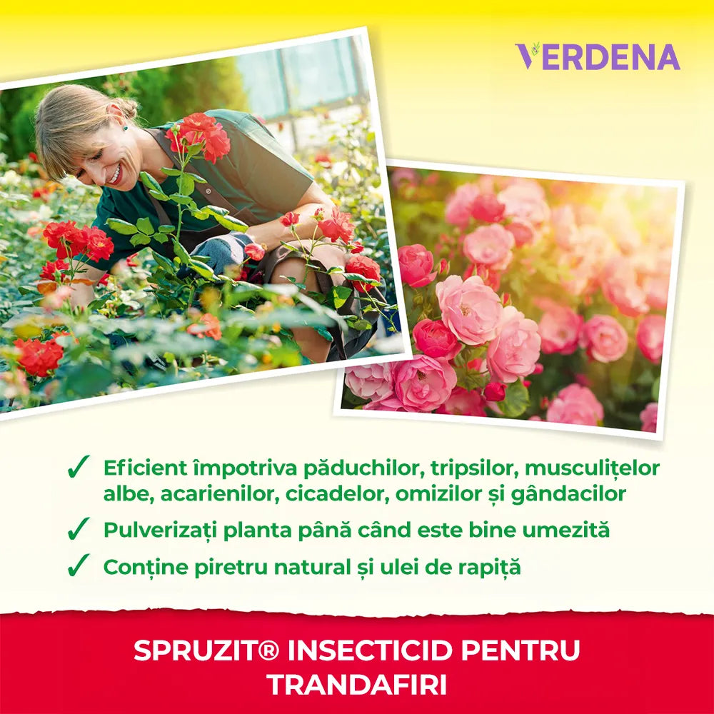 Insecticid Natural Organic Spray Spruzit, anti-daunatori pentru trandafiri, afide, paianjeni rosii, tripsi, Neudorff - 750 ml