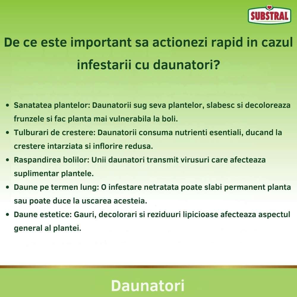 Insecticid Lichid pentru Plante Ornamentale, 400 ml, Contra Daunatorilor precum Afide, Cosenile si Omizi