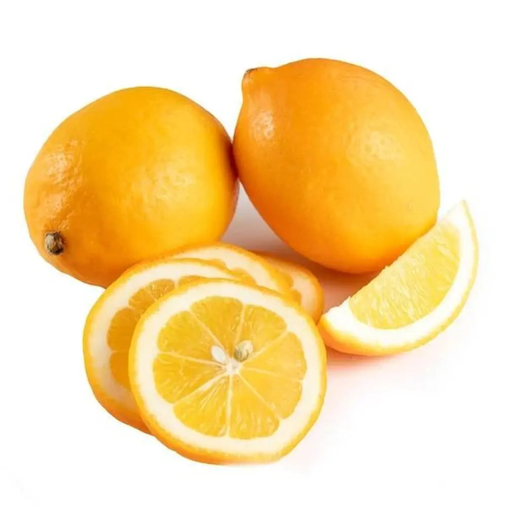 Pom Lamai (Citrus Limon) Meyer, 40-60 cm, cu fructe mari galbene-portocalii parfumate, an 2 pe rod