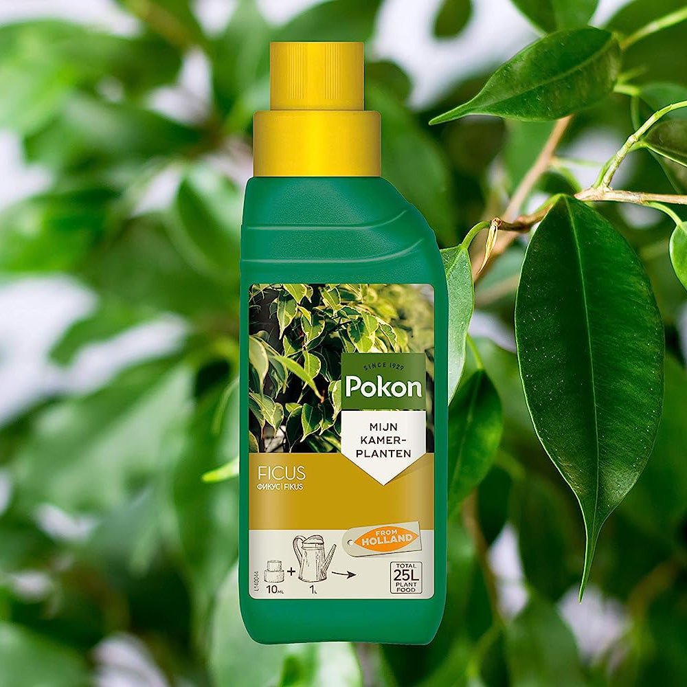 Fertilizator Lichid POKON pentru Ficus 250 ml