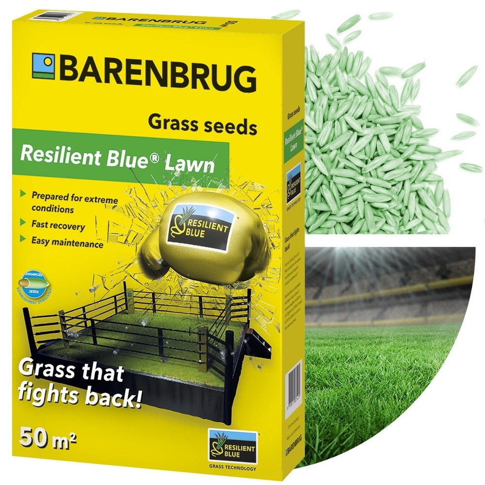 Resilient Blue Lawn gyepmagkeverék Barenbrug 1 kg – aszály- és taposásálló, 50 m²-re
