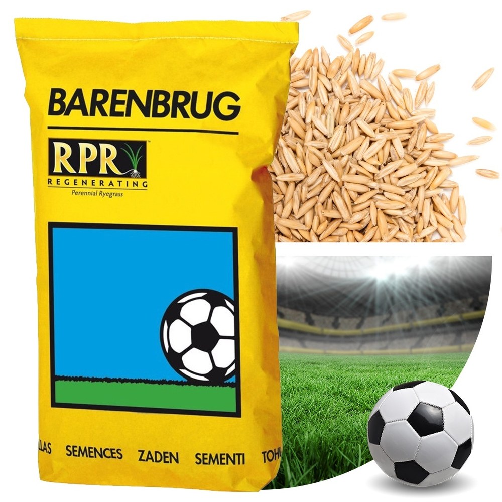 Barenbrug RPR Sport gyepmagkeverék 5 kg – gyors regenerációjú professzionális sportpázsit 250 m²-re