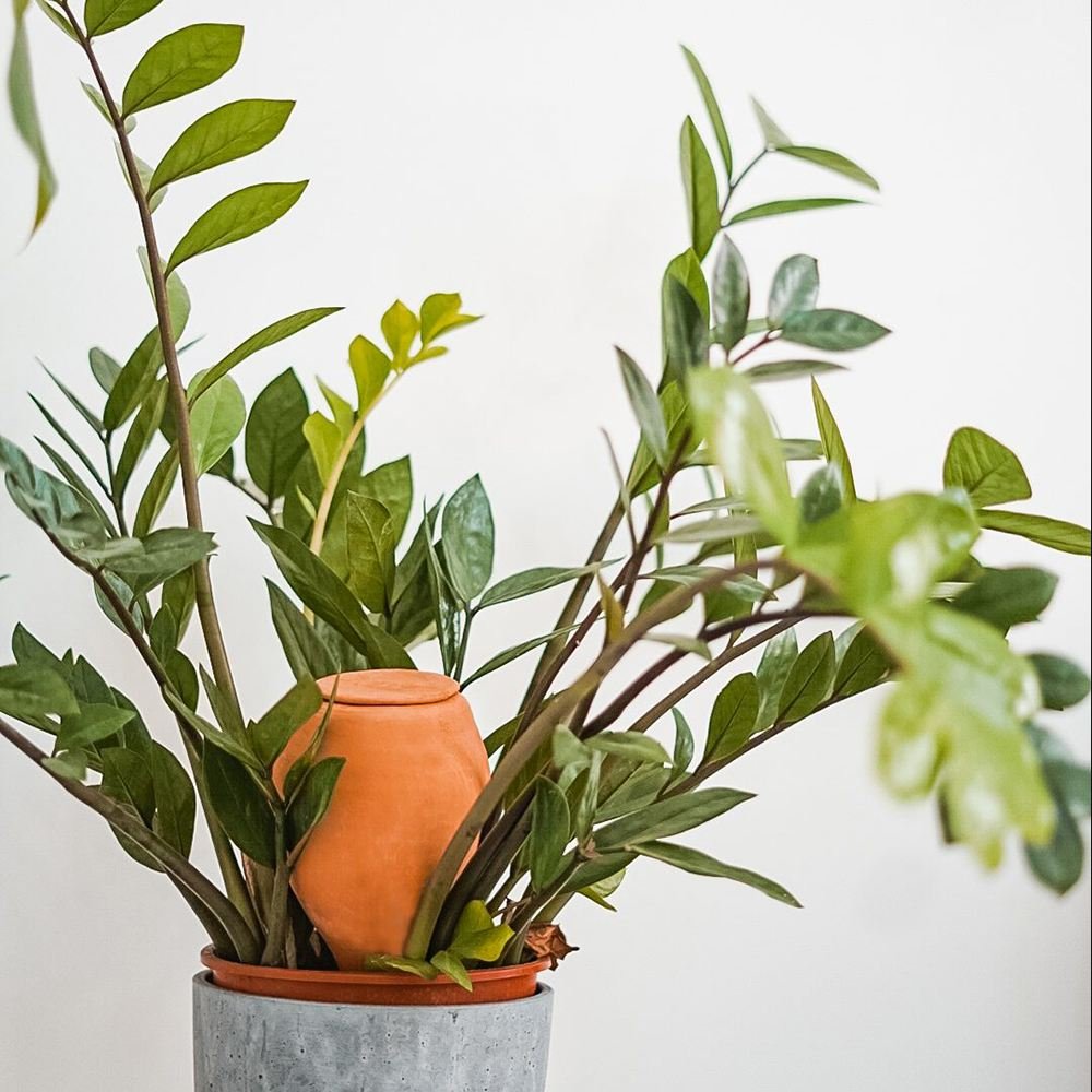 Vas de auto-udare plante verde LUTOYA, decorativ, ceramic, lut, natural, 700 ml