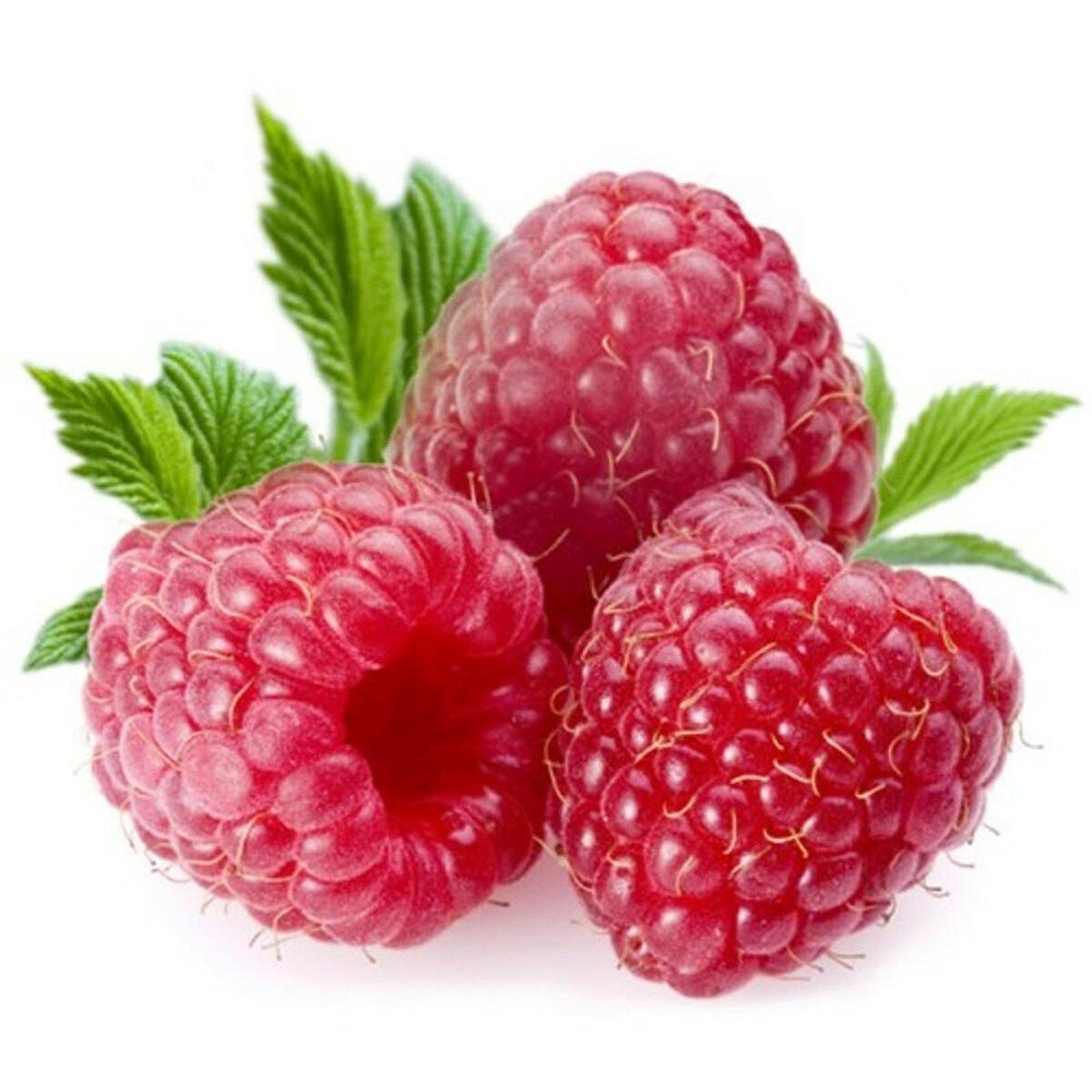 Zmeur Rosu Meeker (Rubuis Idaeus), cu fructe dulci rosii