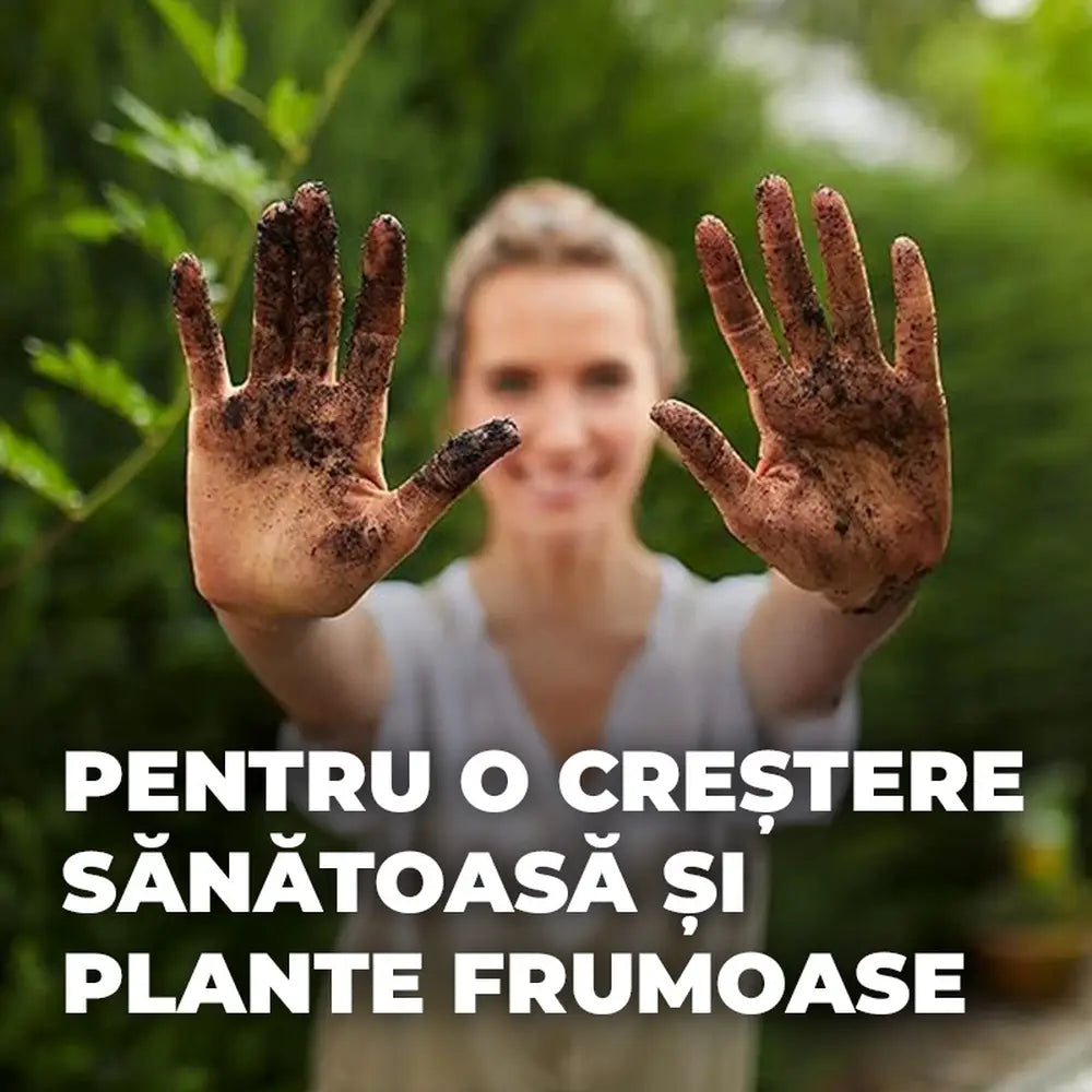 Pamant Compo Sana pentru flori de balcon si gradina 10 litri cu fertilizare 12 saptamani
