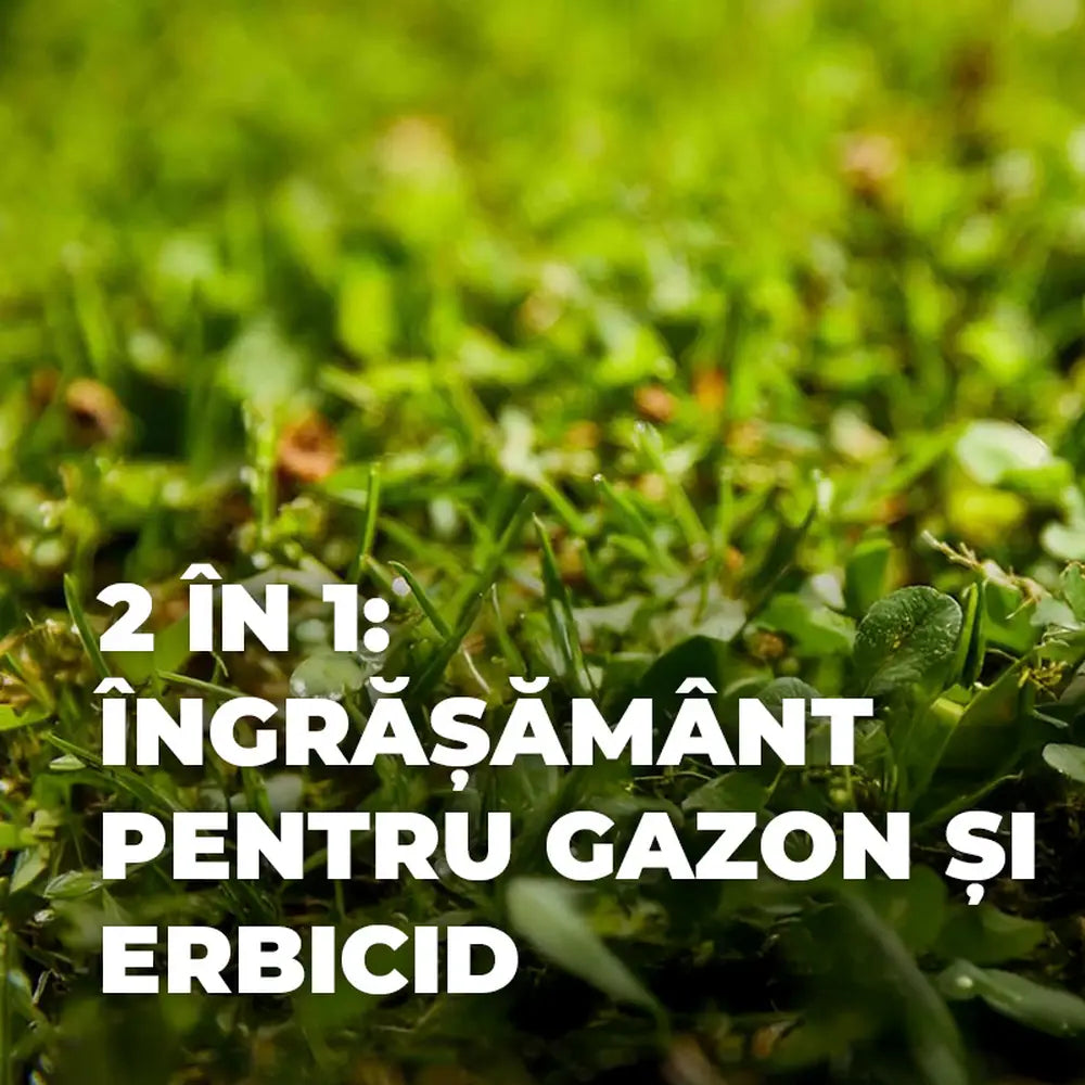 Ingrasamant gazon Compo Floranid, 1.5 kg pentru 50 mp, cu erbicid 2 in 1 efect imediat si de lunga durata