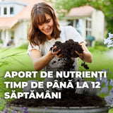Pamant Compo Sana pentru plante verzi si palmieri 10 litri cu fertilizare 12 saptamani
