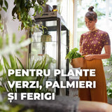 Pamant Compo Sana pentru plante verzi si palmieri 10 litri cu fertilizare 12 saptamani