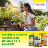Ingrasamant organic Neudorff Azet pentru conifere si plante vesnic verzi 2.5 kg – efect imediat si prelungit pana la 100 zile