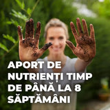 Pamant special Compo Sana pentru bonsai interior si exterior 5 litri cu fertilizare 8 saptamani