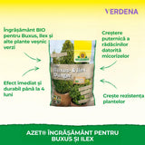 Ingrasamant organic Neudorff Azet pentru Buxus si Ilex 1 kg – efect imediat si de lunga durata pentru plante vesnic verzi sanatoase
