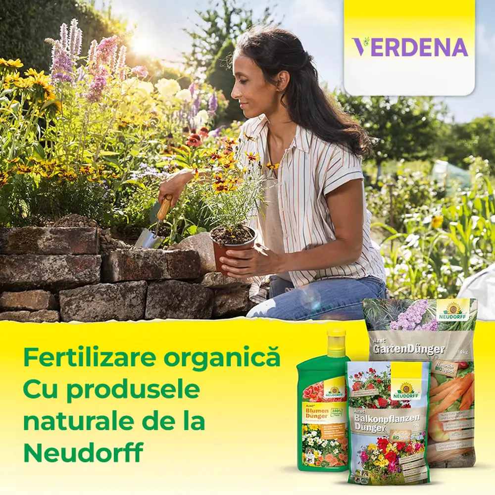 Ingrasamant organic Neudorff Azet pentru Buxus si Ilex 1 kg – efect imediat si de lunga durata pentru plante vesnic verzi sanatoase