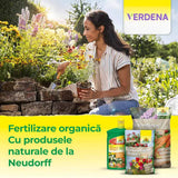 Ingrasamant organic Neudorff Azet pentru Buxus si Ilex 1 kg – efect imediat si de lunga durata pentru plante vesnic verzi sanatoase