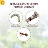 Banda Adeziva pentru Combaterea Daunatorilor la Pomi, 5m, SOLABIOL