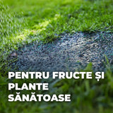Compo Saat amestec 2in1 pentru insamantare gazon si fertilizare – 1.2 kg pentru 50 mp