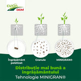 Ingrasamant conifere si gard viu Cuxin DCM, formula speciala cu magneziu, efect de lunga durata, tehnologie MINIGRAN, 1.5 kg