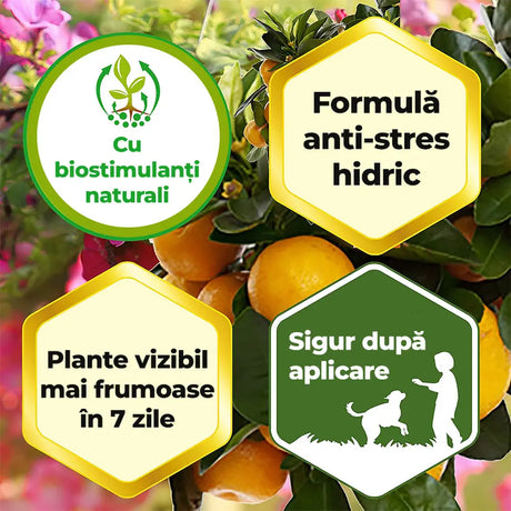 Fertilizant lichid Substral 250 ml, cu fier impotriva clorozei si frunzelor galbene pentru plante ornamentale si gazon