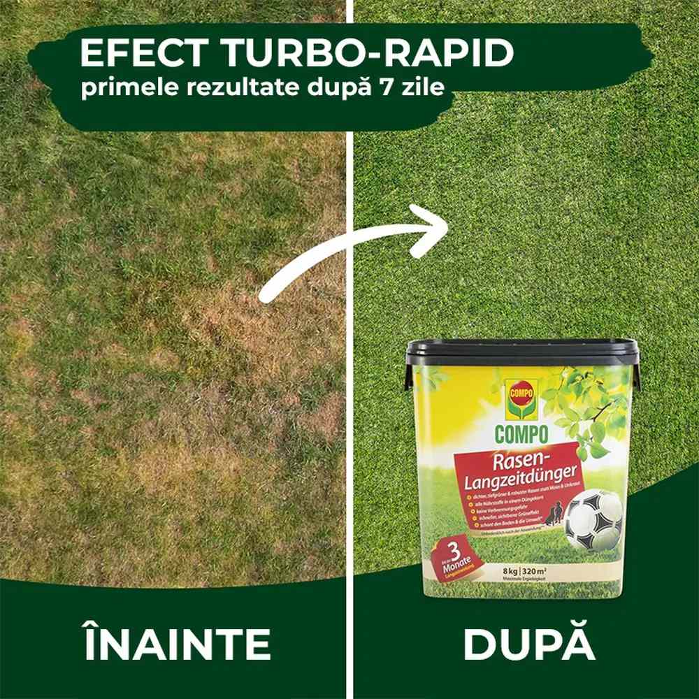 Ingrasamant gazon Compo, 8 kg pentru 320 mp, efect de 3 luni, granule fine