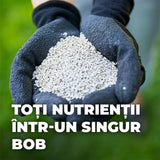 Ingrasamant gazon Compo, 8 kg pentru 320 mp, efect de 3 luni, granule fine