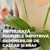 Spray Nutritiv pentru Frunze de Orhidee, 250 ml, Gata de Utilizare, COMPO