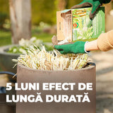 Ingrasamant pentru Bambus si Ierburi Ornamentale, 850 g, 22 m², Formula Ecologica, Efect de Lunga Durata 5 Luni, COMPO